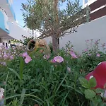 Mina * Kardamena (Kos)