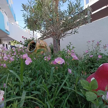 Mina * Kardamena (Kos)