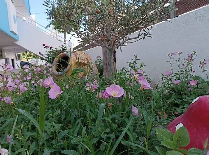 Mina * Kardamena (Kos)